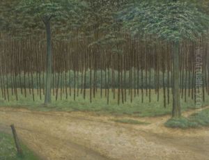 Forest Trail by Albijn Van Den Abeele