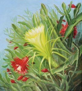 Kaktusblomster. by Alfrida Baadsgaard