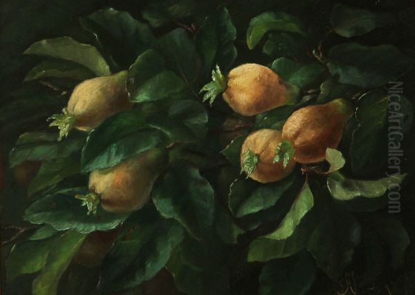 Fruit tree. - view 1