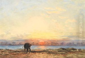 Ein Elefant im Abendrot