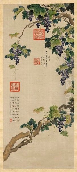 Vines with fruit. - view 1
