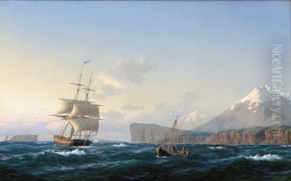 Marine ud for klippekyst. - view 1