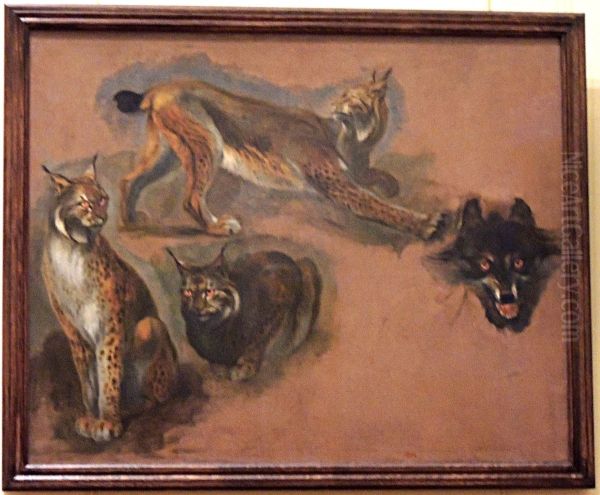 Lynx et loup. - view 1