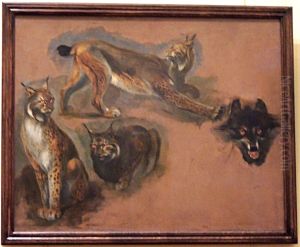 Lynx et loup.