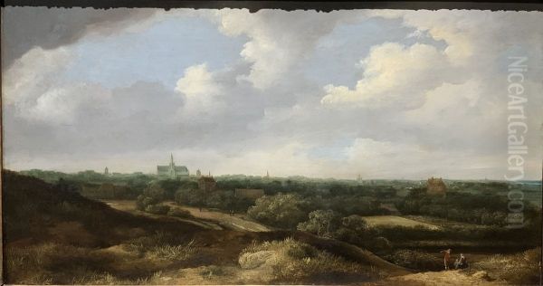 View of Haarlem from the South - view 1