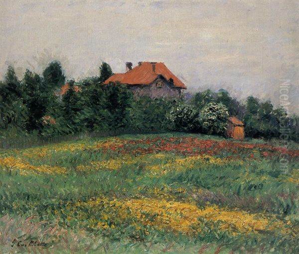 Wild Garden at Le Petit Gennevilliers - view 1
