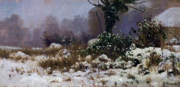 Winter landscape. - view 1