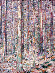 Trunks of Pines in Sunlight