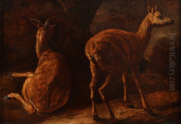 A study of two deer calfs - view 1