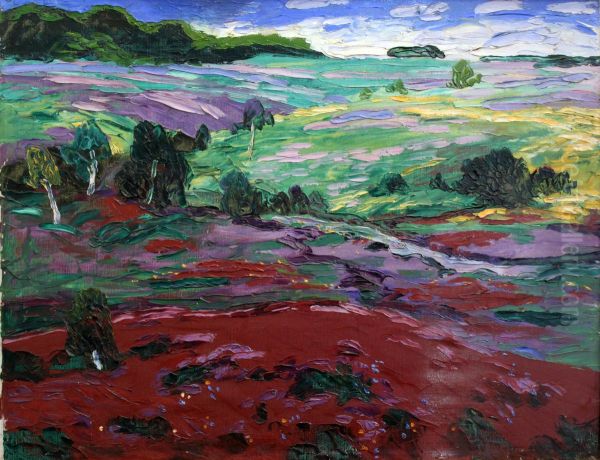 Landscape on Sylt - view 1