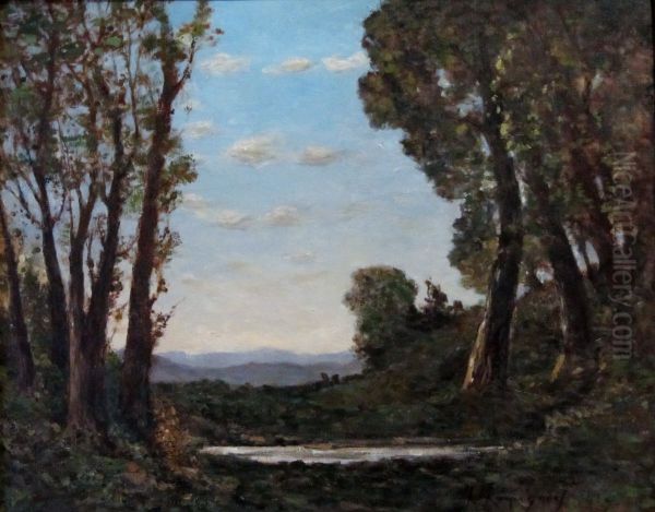 On the Borders of the Forest - view 1