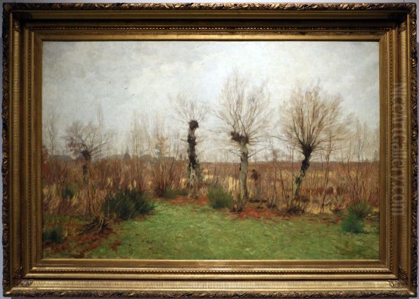 paesaggio a campine - view 1