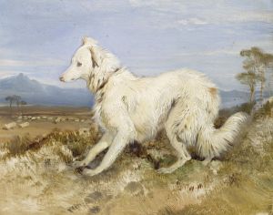 White Collie in a landscape by unknown
