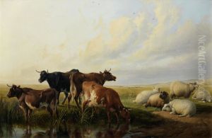 Cattle and sheep resting by unknown