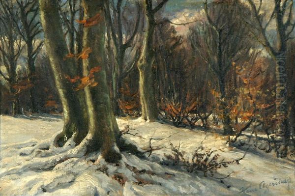 A winter day in the woods. - view 1