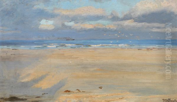 View from Skagen beach. A ship on the horizon. - view 1