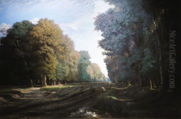 Undergrowth - view 1