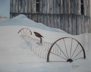 Snow Rake