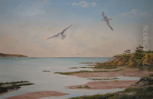 Dawn Flight - Two Seagulls - view 1