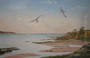 Dawn Flight - Two Seagulls