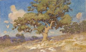 High Desert Oaks High Desert Oaks