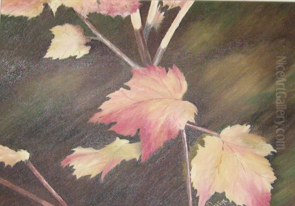 Canada Maple - view 1