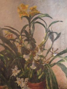 yellow orchids by unknown