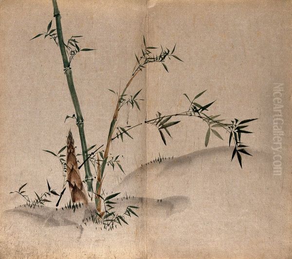leafy stems and new shoots in grassland. - view 1