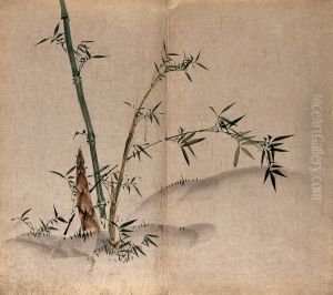 leafy stems and new shoots in grassland. by unknown