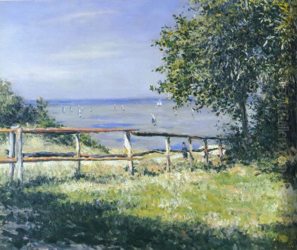 Champ au bord de mer - view 1