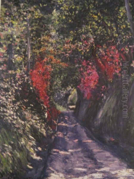 Allee sous bois - view 1