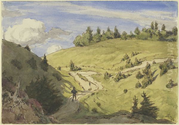 Landscape in the Black Forest - view 1
