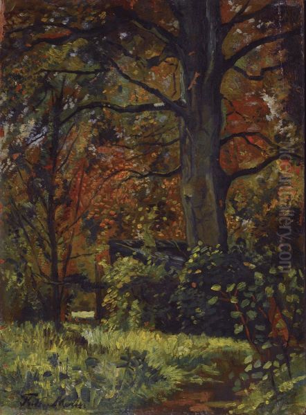 A forest in autumn - view 1