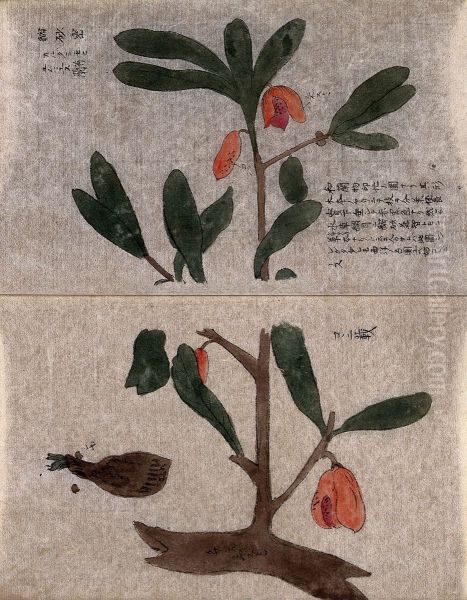 A flowering tree branch with a separate germinating seed. - view 1