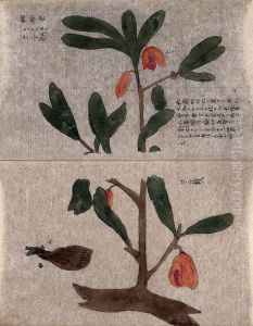 A flowering tree branch with a separate germinating seed. by unknown