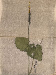 A flowering plant. by unknown
