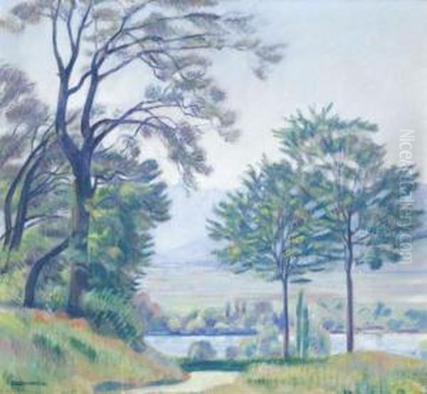 Landschaft Bei Muri - view 1