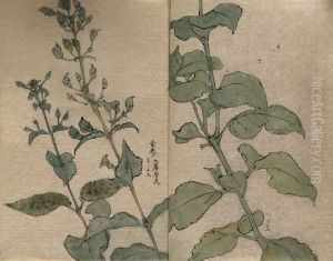 stem in two sections. by unknown