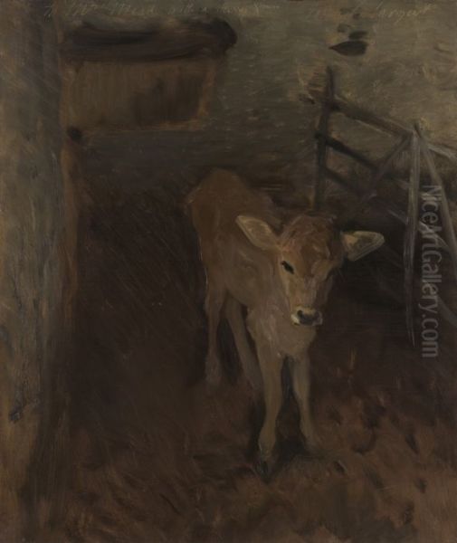 A Jersey Calf - view 1