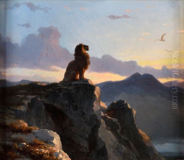 A lion sitting on the edge of a cliff. - view 1