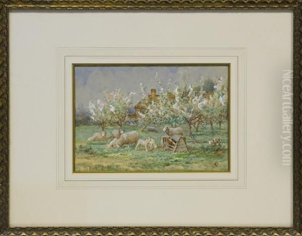 Sheep In Anorchard - view 1