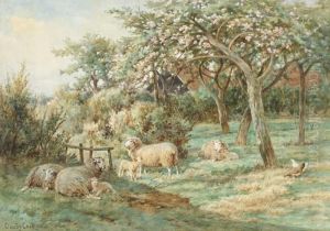 A Corner Of The Orchard A Corner Of The Orchard