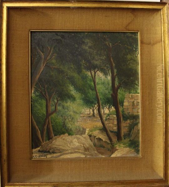 Paisaje - view 1