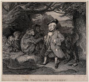 The Travelled Monkey by unknown