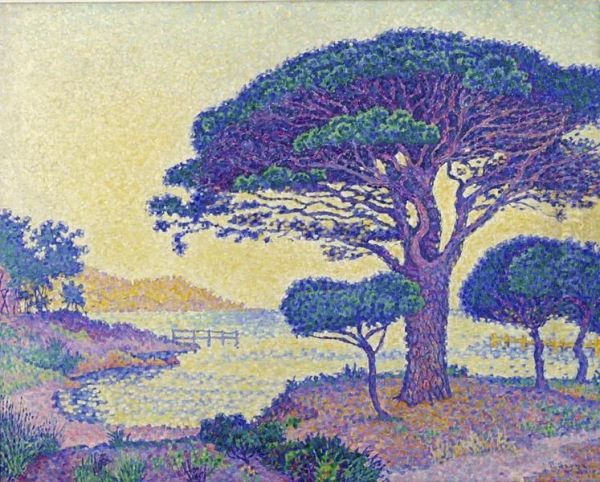 Saint-Tropez, les pins parasols aux Canoubiers - view 1