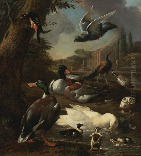 A Peacock, Pigeon, Ducks And Other Birds In a Garden Setting - view 1