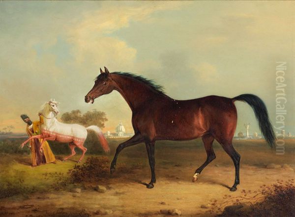 A Persian mare presented to H.R.H. the Prince Regent from His Majesty the King of Persia - view 1