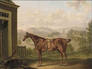 A saddled chestnut hunter in a landscape
