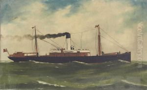 SteamshipFulmar