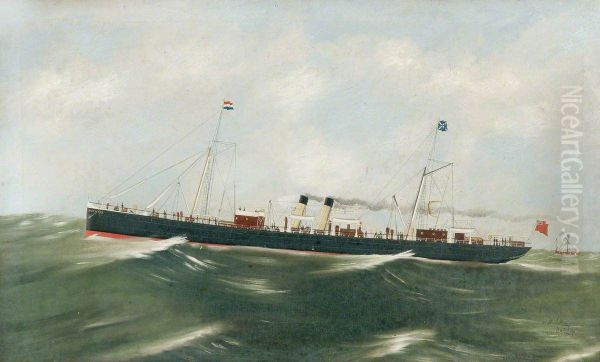 SS 'Norwich' - view 1
